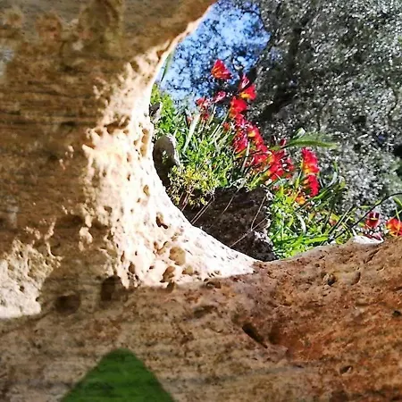 Pietra Vecchia Отель типа 