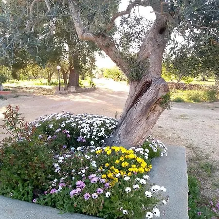 Pietra Vecchia 3* Галатоне