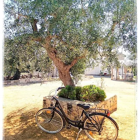 B&B Pietra Vecchia 3*