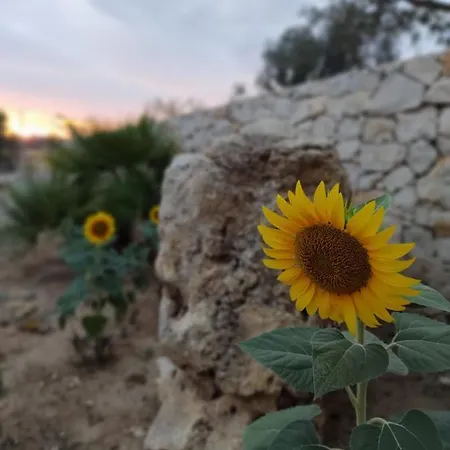 Pietra Vecchia 갈라토네