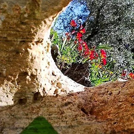 Pietra Vecchia ガラトーネ