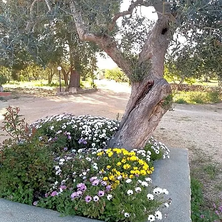 Oda ve Kahvaltı Pietra Vecchia 3*