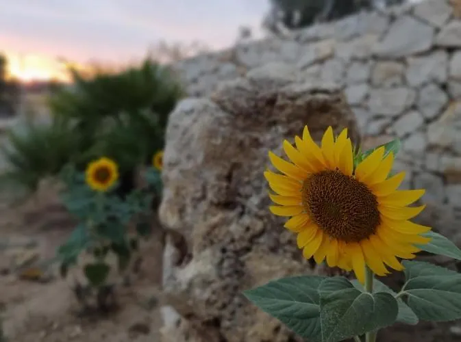 Pietra Vecchia Galatone